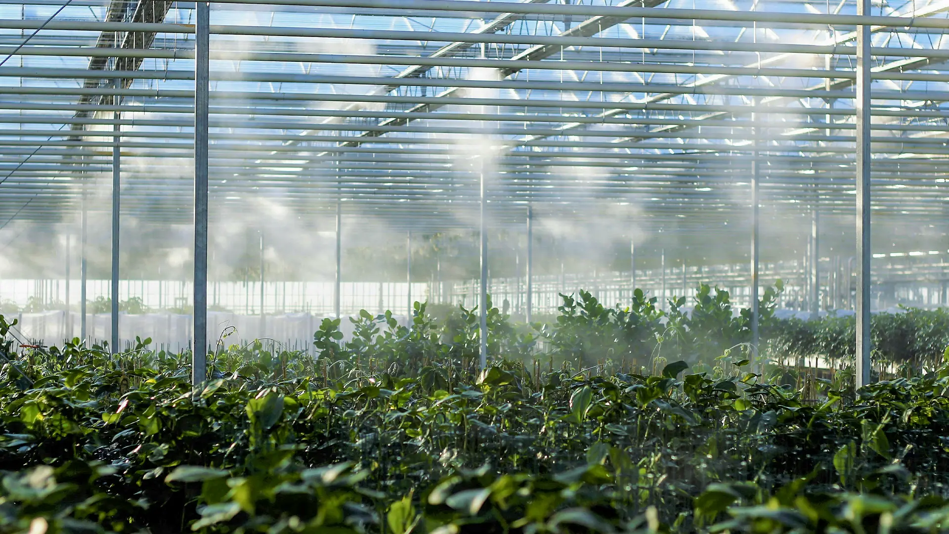 Парк Донузлав 1, участок №1, 1,14 Га